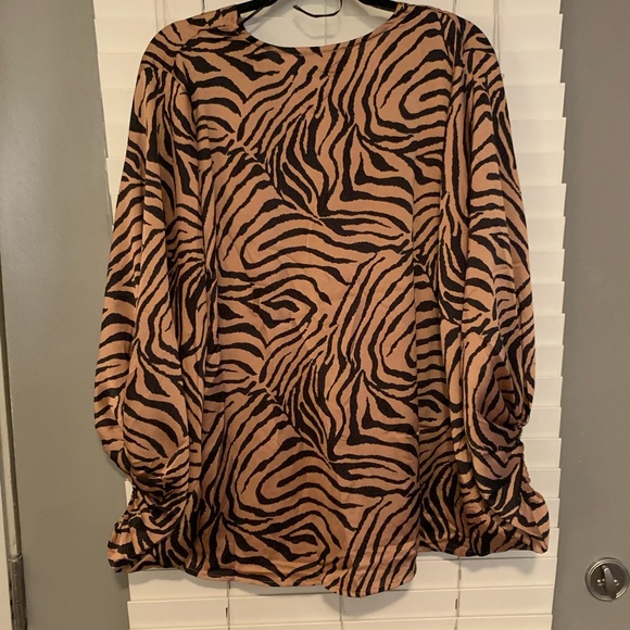 Zebra with a twist!! - Picture 3 of 3